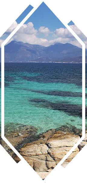 ciic corse 2018